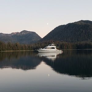 Meet your Posher, Bruce